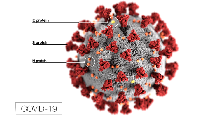 CoronaVirus a.k.a. COVID-19 a.k.a CCP BioVirus